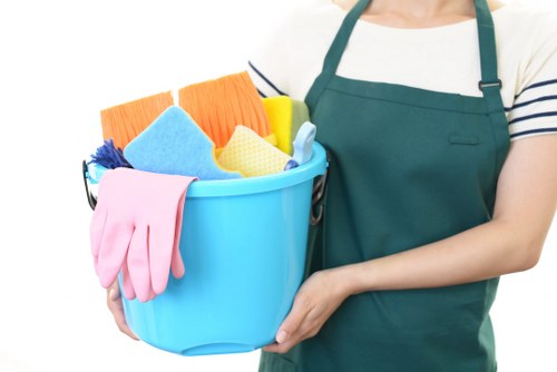 Professional hard floor cleaning for Swiss Cottage homes and commercial properties
