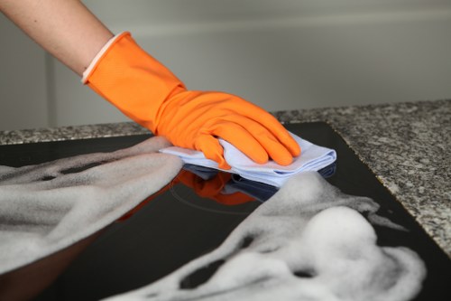 Rug stain and odour treatment in Swiss Cottage