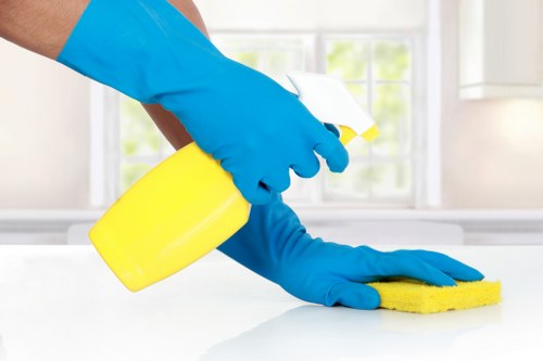 Dependable Swiss Cottage cleaners maintaining homes and workplaces