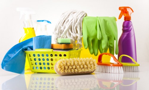 Professional stain removal for carpets and upholstery in Swiss Cottage