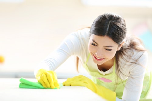 Deep rug cleaning for local flats and townhouses