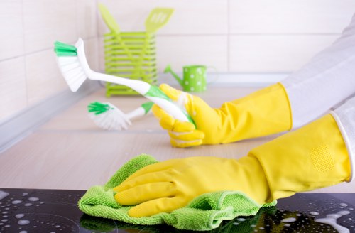Deep cleaning a Swiss Cottage kitchen with detailed surface and appliance care