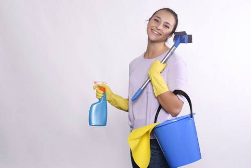 Professional deep cleaning in a Swiss Cottage home bathroom