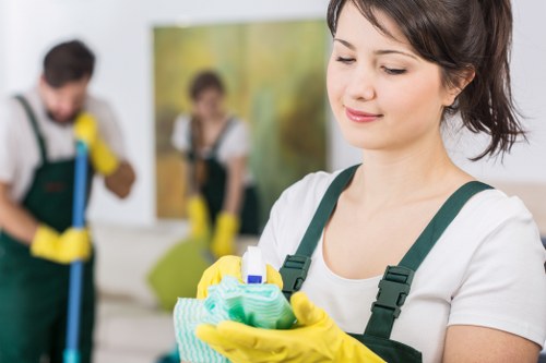 Professional pet odour removal work in a Swiss Cottage property