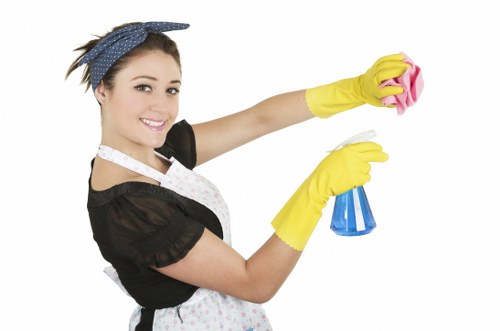Professional cleaning support for Swiss Cottage households and shared properties