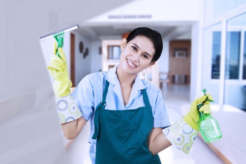 Professional cleaning for curtains in a local Swiss Cottage home