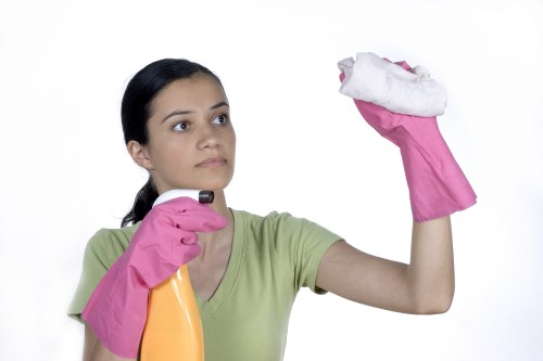 Dust removal and detailed post-construction cleaning in a Swiss Cottage flat
