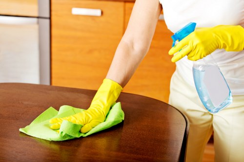 House cleaning checklist and local service coverage around Swiss Cottage